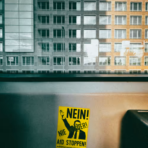 chaoticmonk.lens-Collect-4581