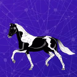Unnamed Horse