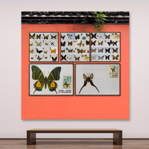 NFT_BROKER Collection