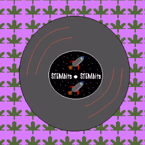 40546891458037597878327627708455557250919813750768991561078800925580343640065