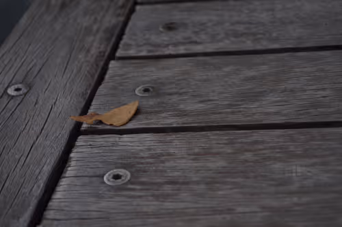 Item #88588118460762935851954819290277197949236789267554687293919040368253396320257 Media