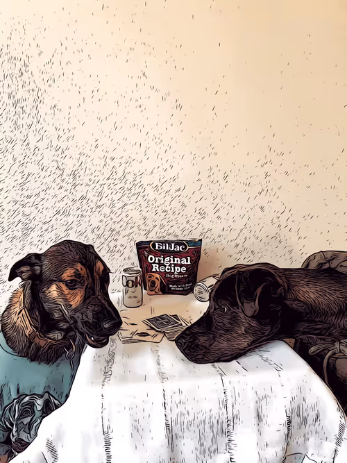 Item #51248183749348236146371365488248401109026090195749860833283607886985760342017 Media