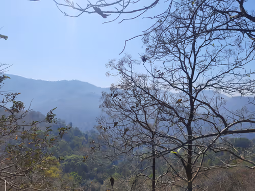 Item #86460548825896395183188707427462696963522650148758793724109723206558270095361 Media