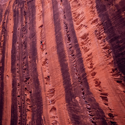 21286616541368493270952273154919658706491111186853565386377985456498983043073