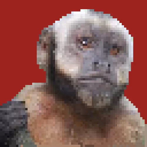 Item #49051871974728512723743709727512141918678316039656509398512956706085794742273 Media