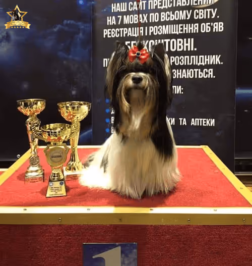 Item #38667131167011634385541907782208186835961873608250228940362662750733637517313 Media