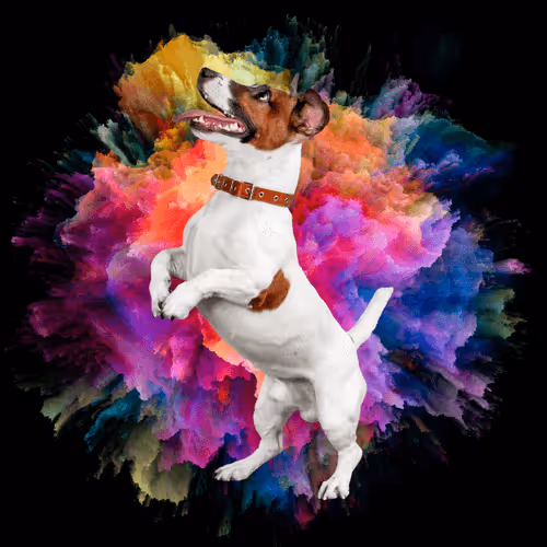 Item #56239973556945340979686789749535475438779907640352577271033901433834396712970 Media