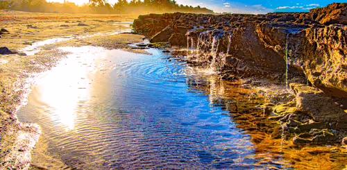 Item #25853915682331612512529370936601122289705880258767240402331409796472447696996 Media