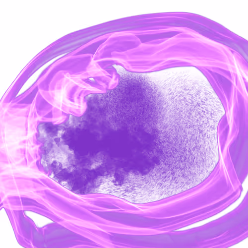 Item #16808852661278506792455587174628036526611769218420169512753900662007737090049 Media