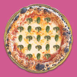 47891714998489968120364573701004085014275156290089657267517471836879745712129