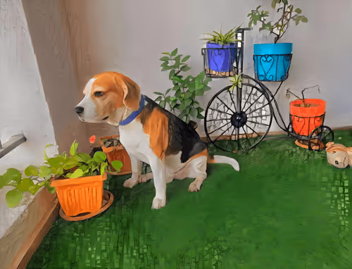 Item #62968114888003897445254203338726043175776341799549800828450303778103215783937 Media