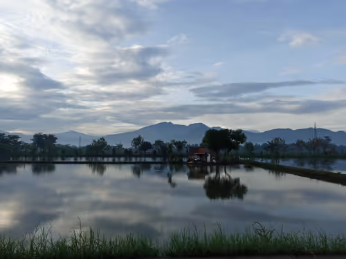 Item #68356916031059924921230192194445693761239192572255149021970435625113995968513 Media