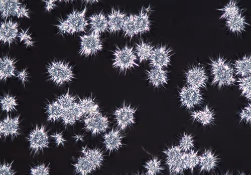 Item #74354094279937263719248488513785771079420652454590693798623580878275012984833 Media