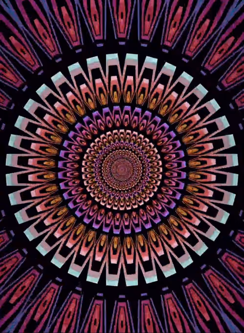 Item #90041731121625487391681815640804423209929442543617657032058540121038950236161 Media