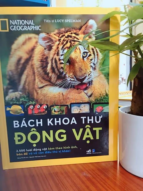 Item #13857206709726983284289192515674655935805276147671348277122423824910196408321 Media