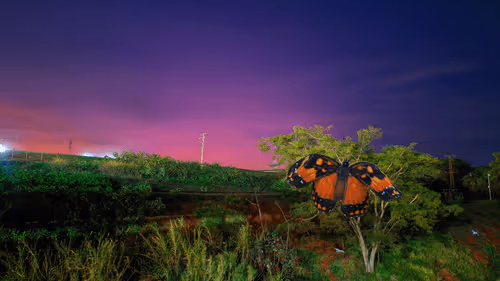 Item #58394047908970311376065937919186859287359681274732256848795643007159641309185 Media