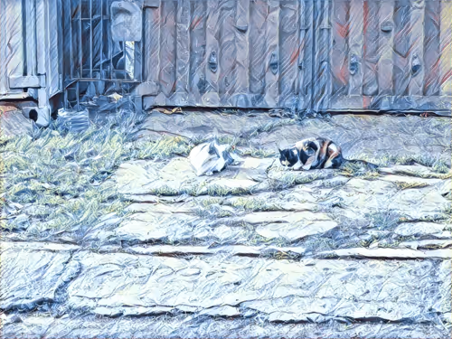 Item #46397680814911453718365897270123246439130732684861044295736256123194621034497 Media