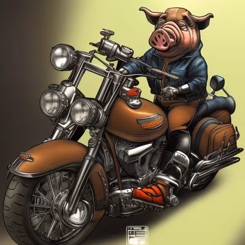 Item #23647464929778315466460978353877304600511561263333353160550806113498423099393 Media