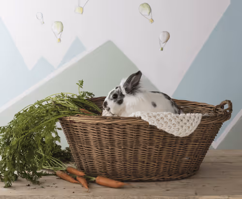 Item #30265843479262384956093019628837850890076542152676219222774220924998035439626 Media