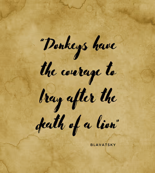 Item #74244561265385560548005883535502276132434054888589550816365993405118033166337 Media