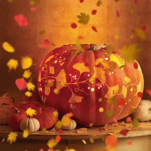 15081463501546268006596121588316872326209313817998412847676536866439270760449