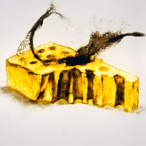 Item #64547877753568412469425259004769380681143227933510953498710243213994530701313 Media