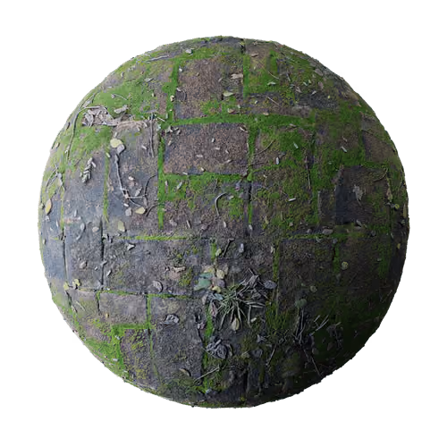 Item #33091295849325082859949910272626481755093057706513718424092177338727894351882 Media