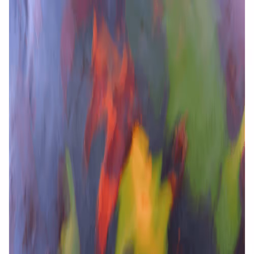 Item #23265726314410109476129301555838572111439838682222879854994044483920723968001 Media