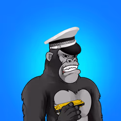 45454897768330312050306327593764042770009243947436545053610605944965861212161