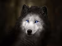 Untitled Collection #78042771