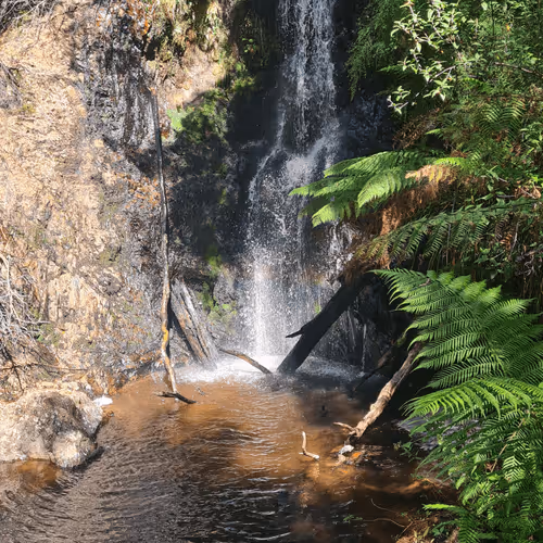 Item #17087946856323551466652223476119462790651517878022839263545786953392231284756 Media