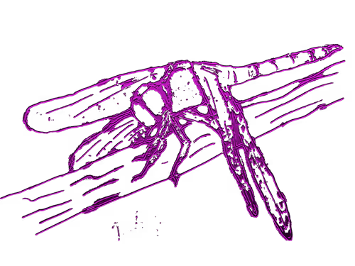 Item #80926432860847288351557924068159633664804178470775081465336394617966498415036 Media