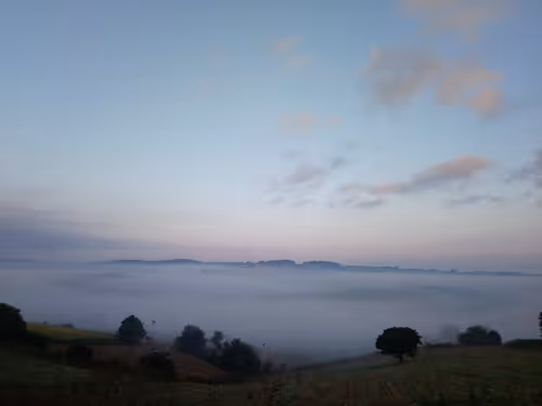 Item #26363452696448564677607507811535355388888413099510016234842399911985327112193 Media