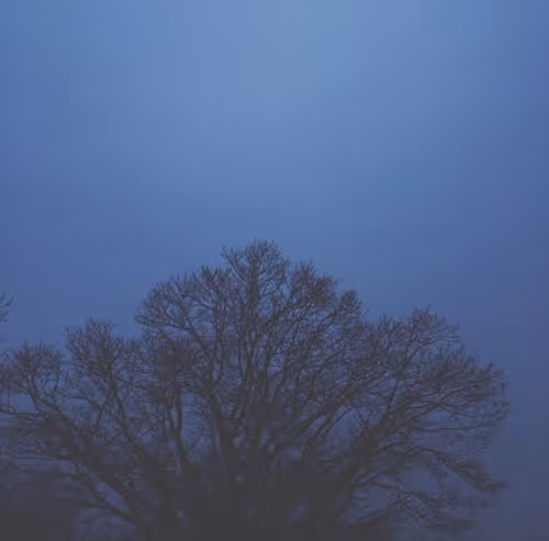 Item #65153916298700067522083748554750574777242795921079823153433125682654690148353 Media