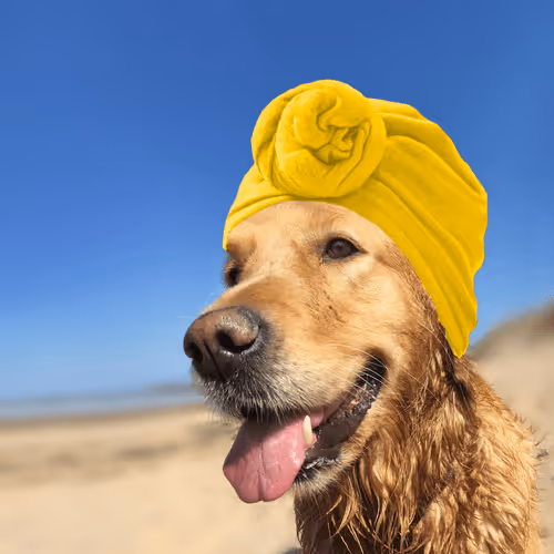 Item #26839399415497039076862880694069072006331525189107682525417321832463598616577 Media