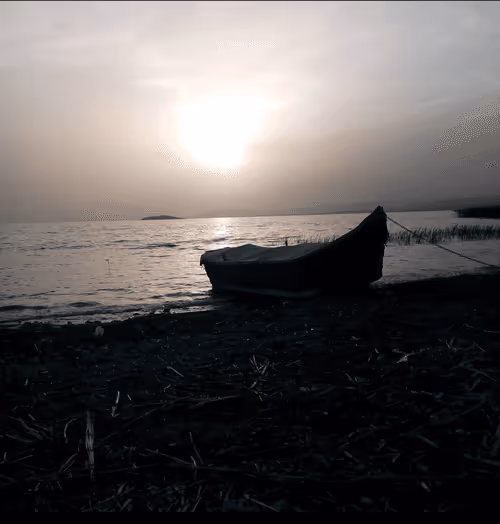 Item #39219479183264581274842045661621805502386801552784339182394378808270335770625 Media