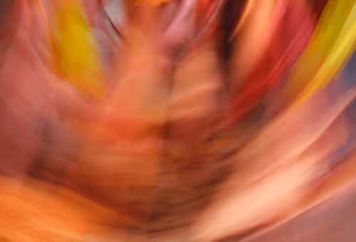 Item #23265726314410109476129301555838572111439838682222879854994044598269933256705 Media