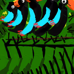 Black Birds
