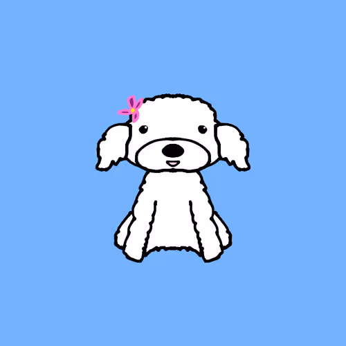 Peachy Poodle #3264