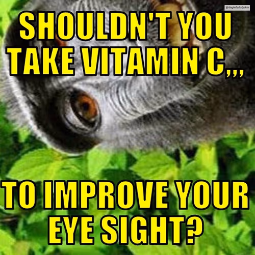 Item #50019202249894892371434277918318181364623497082798944916930856321482504536065 Media