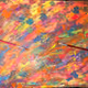 Untitled Collection #92303282