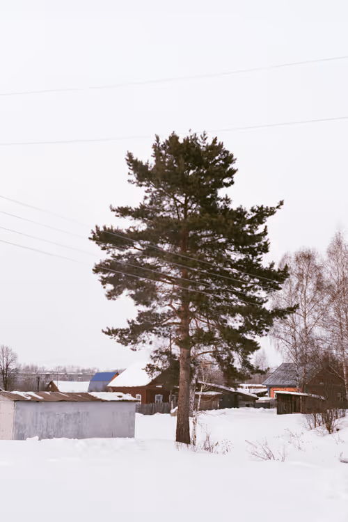 Item #34811634924862855090105769671786307071201187759740501250683185452944961044481 Media