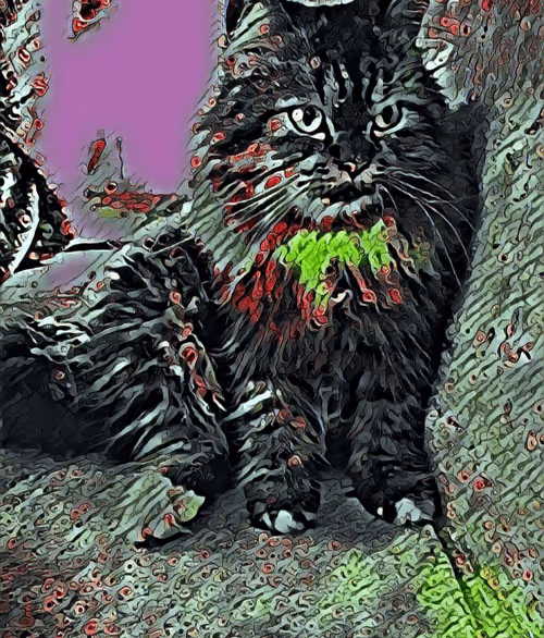 Item #29510731910910609866946623002702956419421614825625903317173568043963518025729 Media