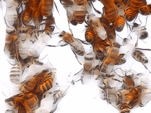 Item #101599579626109009666607068920778550362968334718480795982881728451774316019713 Media