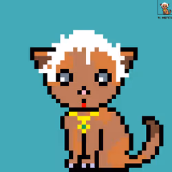 105246534807592399097770137437662661118868908125283424673453541507183862087681