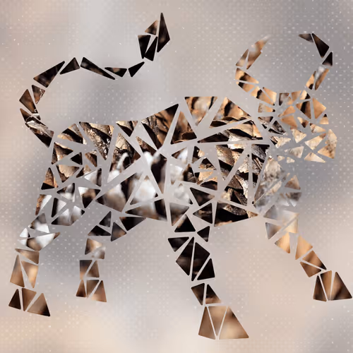 Item #88844257789317103142140258451216065626542023334275980631907029463918708785153 Media