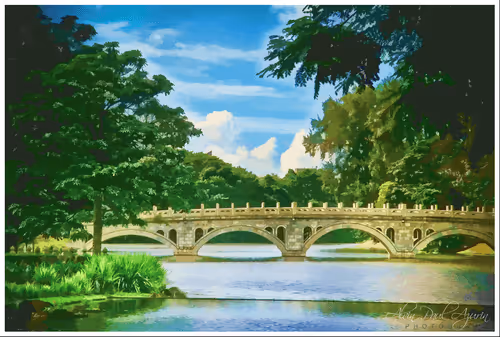 Item #101987082713551675715175857795119519982580221361588588110170162956162752839681 Media