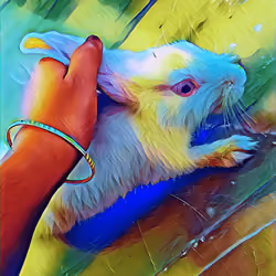 RABBITA MATATA 2.0 !!! 😜😜😜