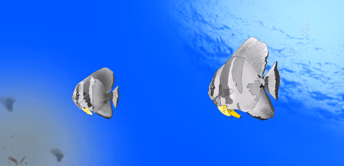 Item #1976028652343187477213533348126194211908390341740218488331024154729486745601 Media