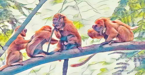 Item #5268166588450870648624449421433370993939742768172324454239271406500799578113 Media